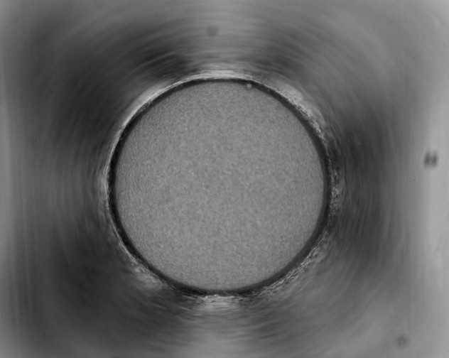 X0000103951181200810101431