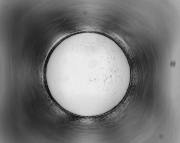 X0000103951182200810101431