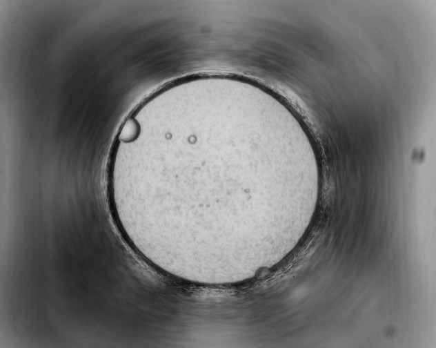 X0000103951183200810101431