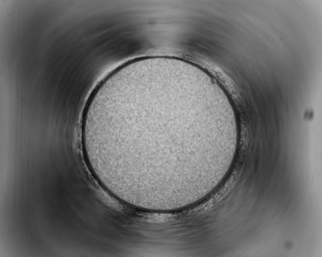 X0000103951184200810101431