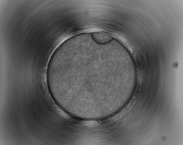 X0000103951186200810101431