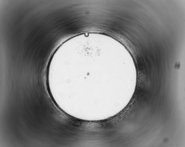 X0000103951187200810101431