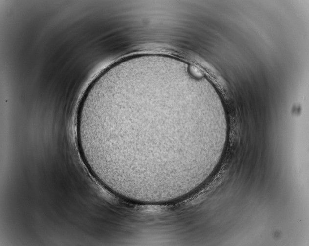 X0000103951188200810101431