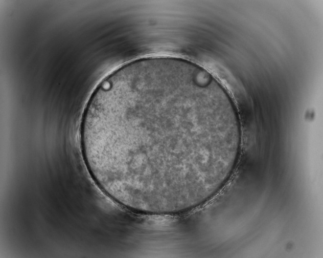 X0000103951189200810101431