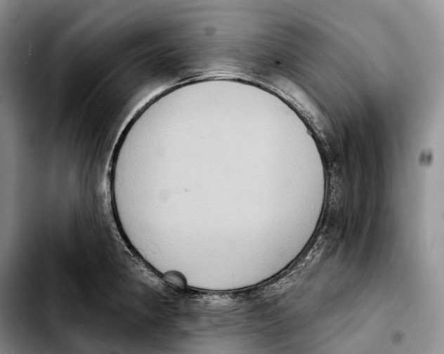 X0000103951190200810101431