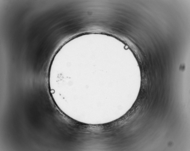 X0000103951191200810101431