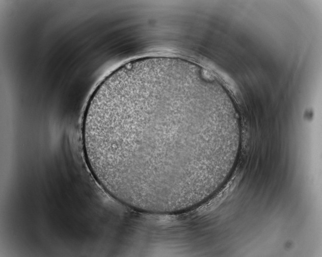 X0000103951192200810101431