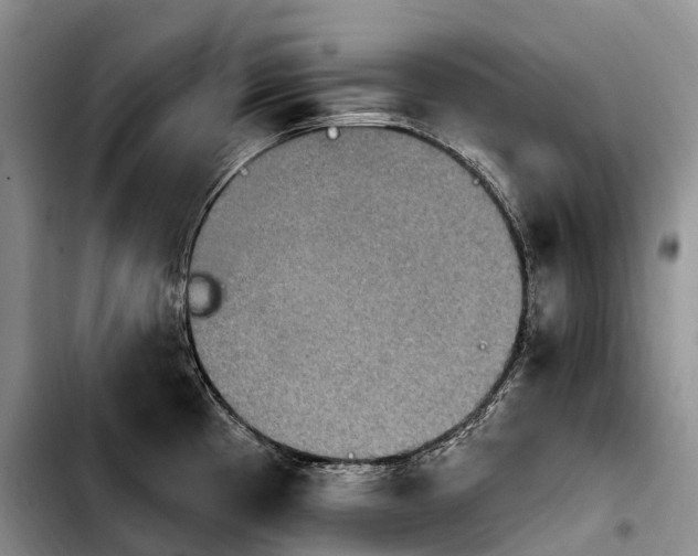 X0000103951193200810101431