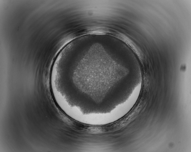 X0000103951194200810101431