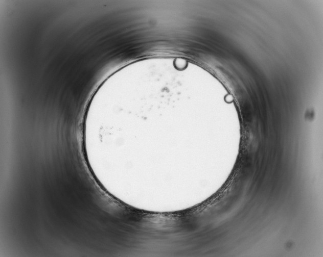 X0000103951195200810101431