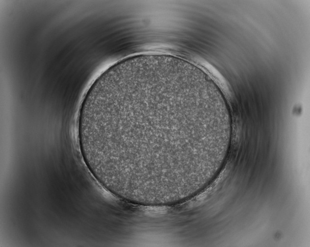 X0000103951196200810101431