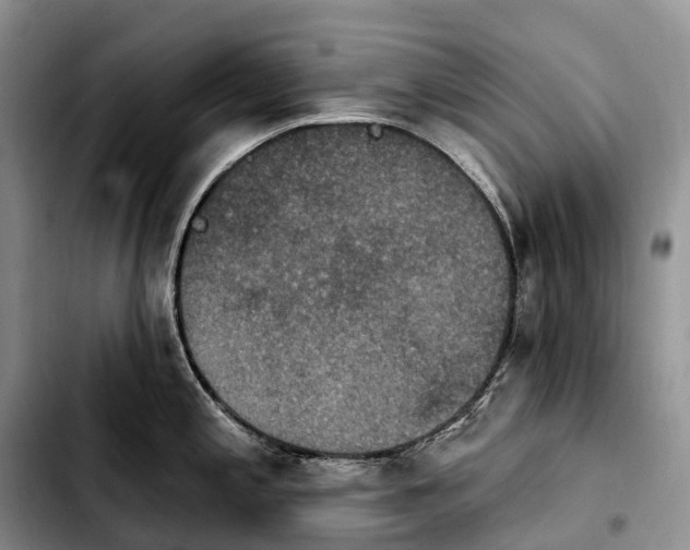 X0000103951197200810101431