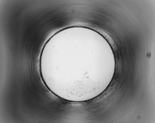 X0000103951199200810101431