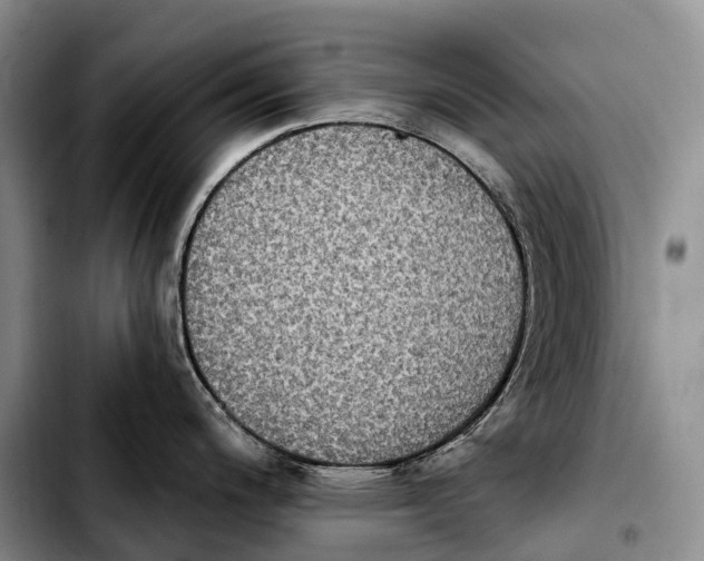 X0000103951200200810101431