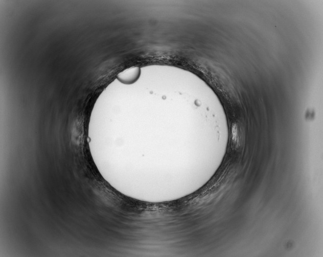 X0000103951203200810101430