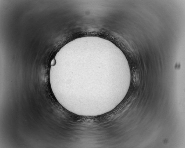 X0000103951204200810101431