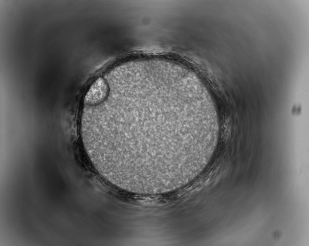 X0000103951205200810101431