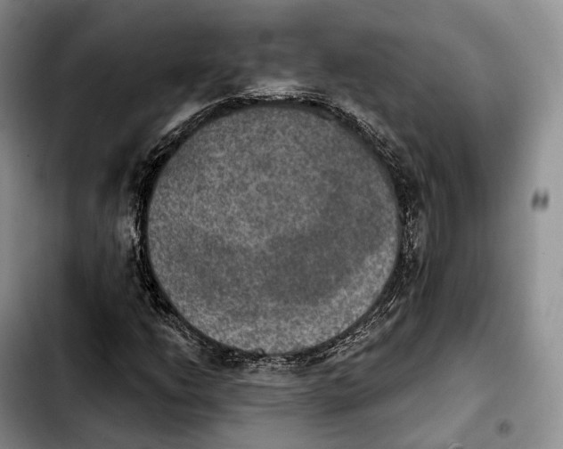 X0000103951206200810101431