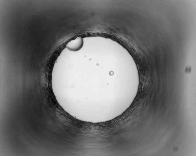 X0000103951207200810101431