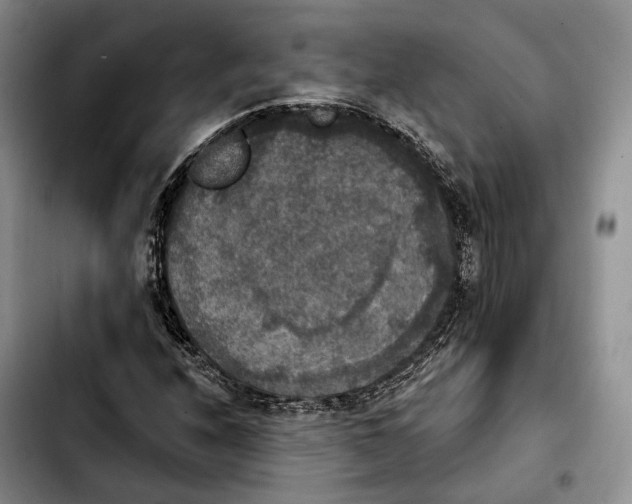 X0000103951208200810101431