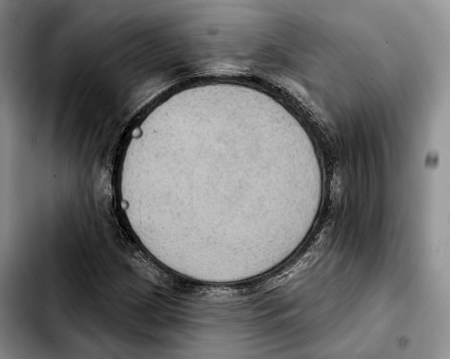 X0000103951209200810101431