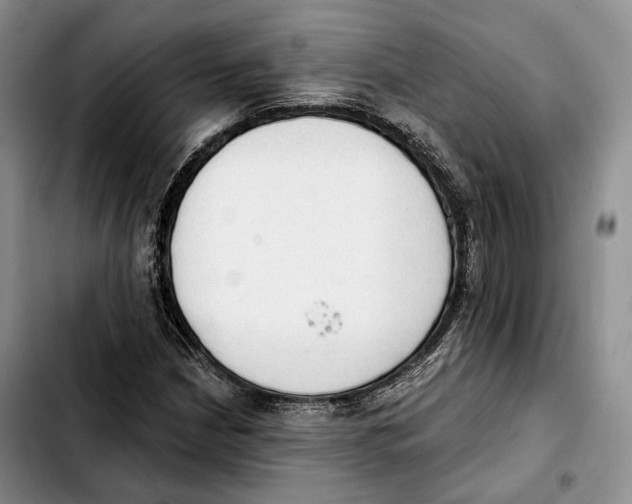 X0000103951210200810101431