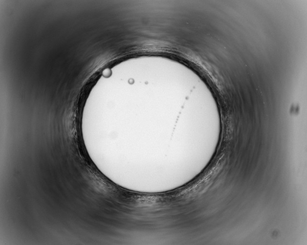 X0000103951211200810101431