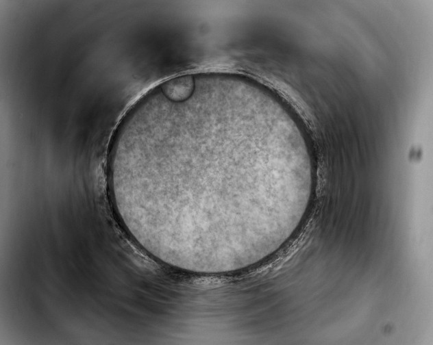 X0000103951212200810101431