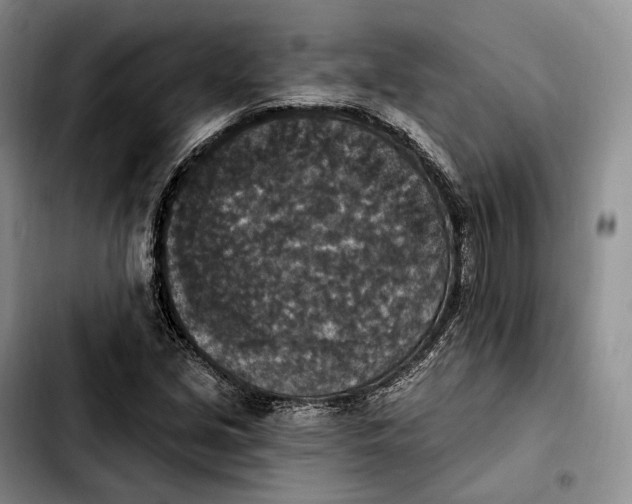 X0000103951213200810101431