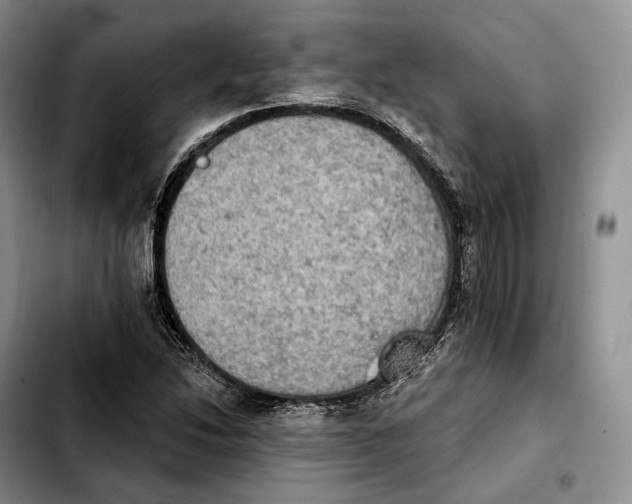 X0000103951214200810101431