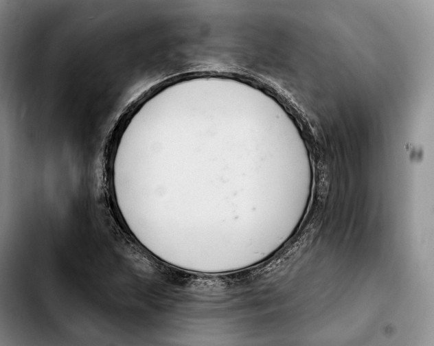 X0000103951215200810101431