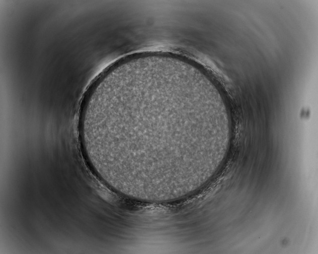 X0000103951216200810101431