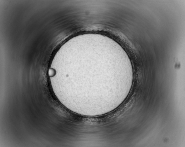 X0000103951217200810101431