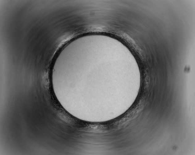 X0000103951218200810101431