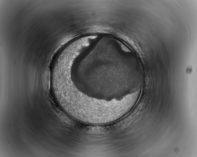 X0000103951219200810101431