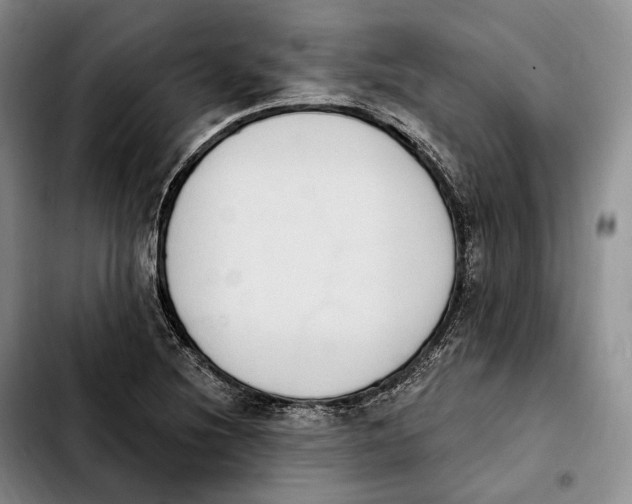 X0000103951220200810101431