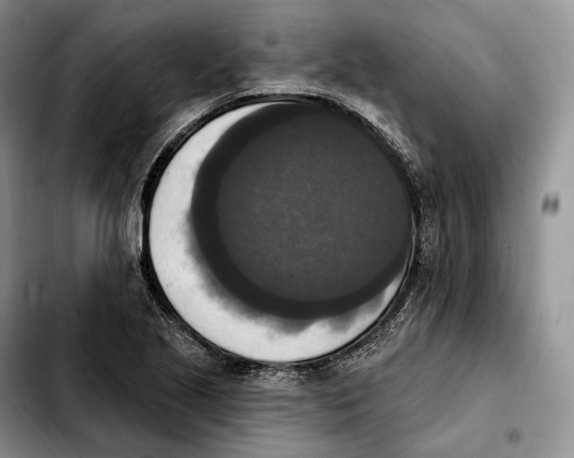 X0000103951221200810101431