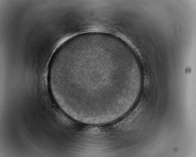 X0000103951222200810101431