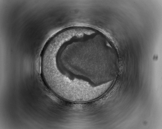 X0000103951223200810101431