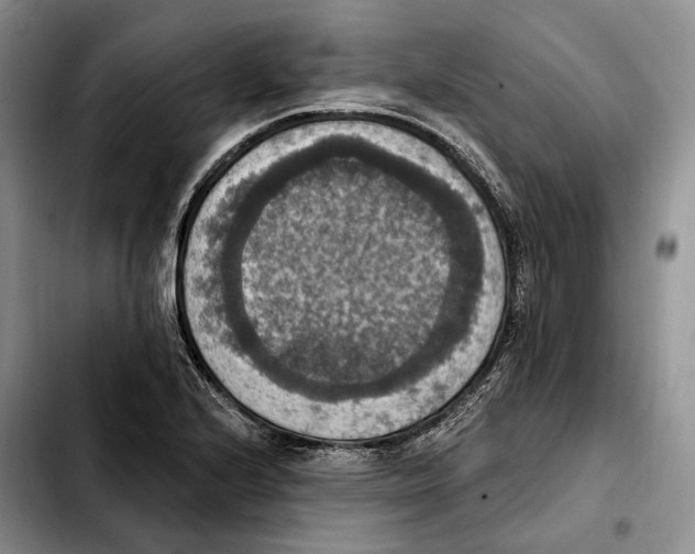 X0000103951224200810101431