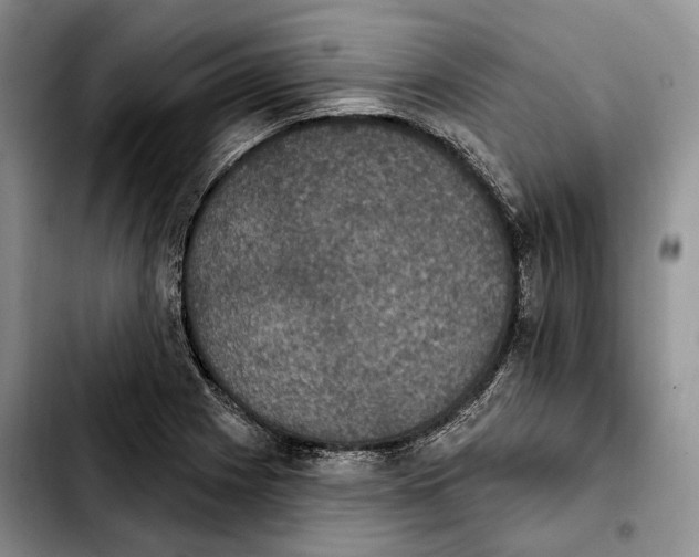 X0000103951225200810101431