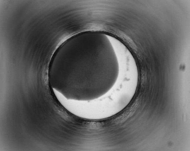 X0000103951226200810101431