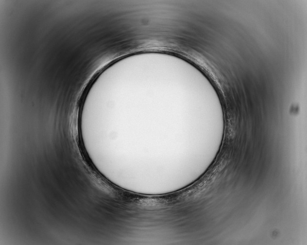 X0000103951227200810101431