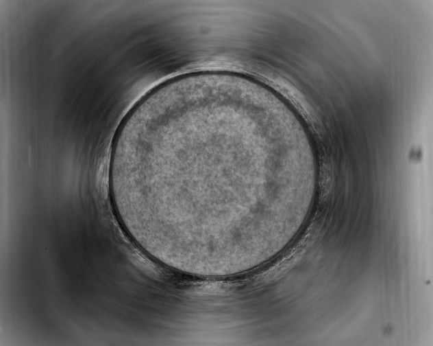 X0000103951228200810101431