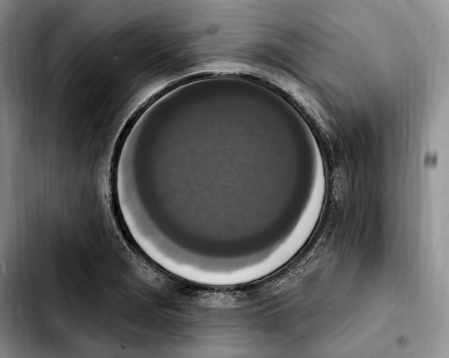 X0000103951229200810101431