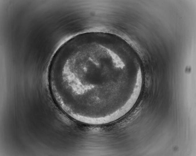 X0000103951230200810101431