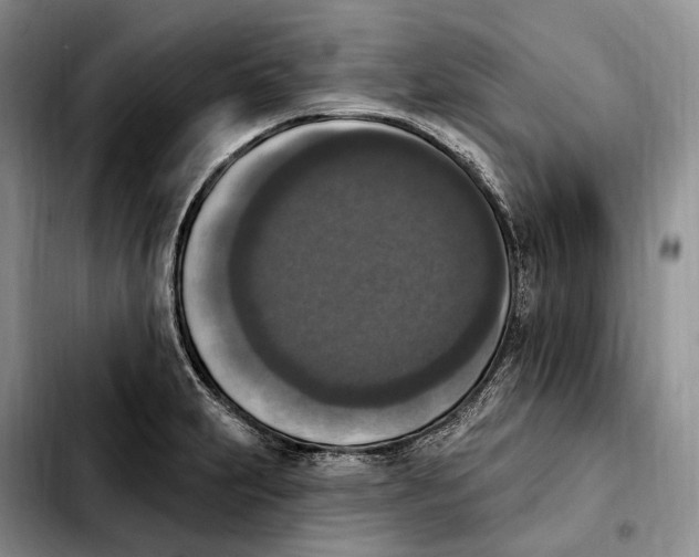 X0000103951231200810101431