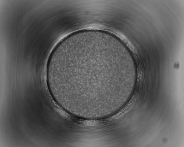 X0000103951232200810101431