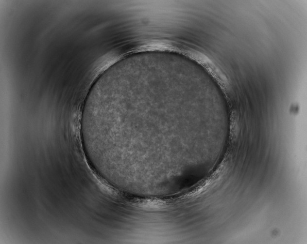 X0000103951233200810101431