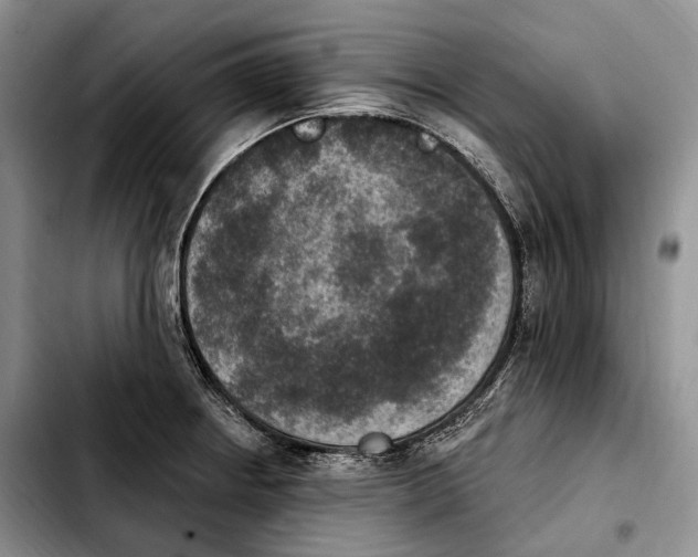 X0000103951234200810101431